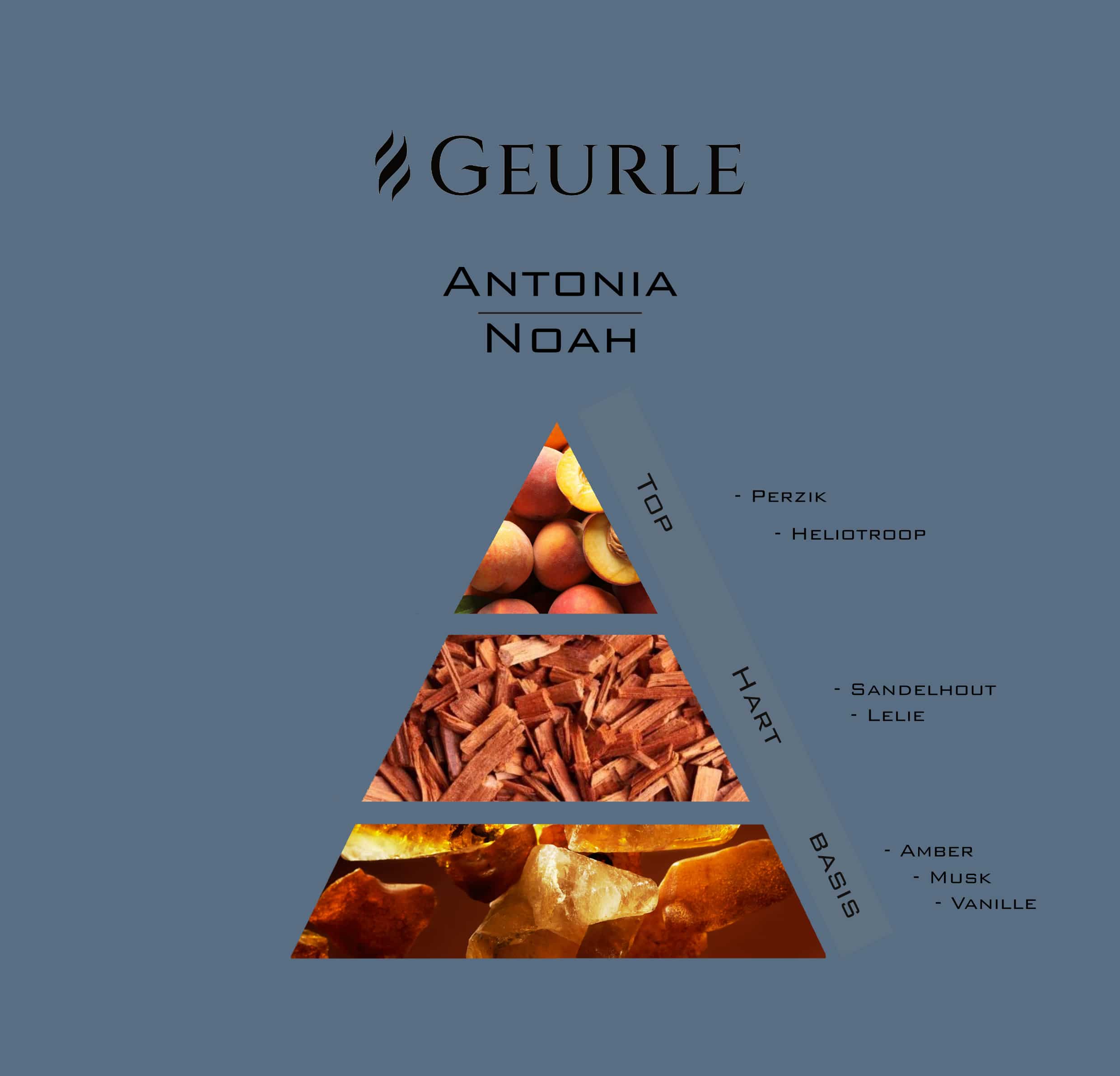 Geurpiramide Antonia Noah